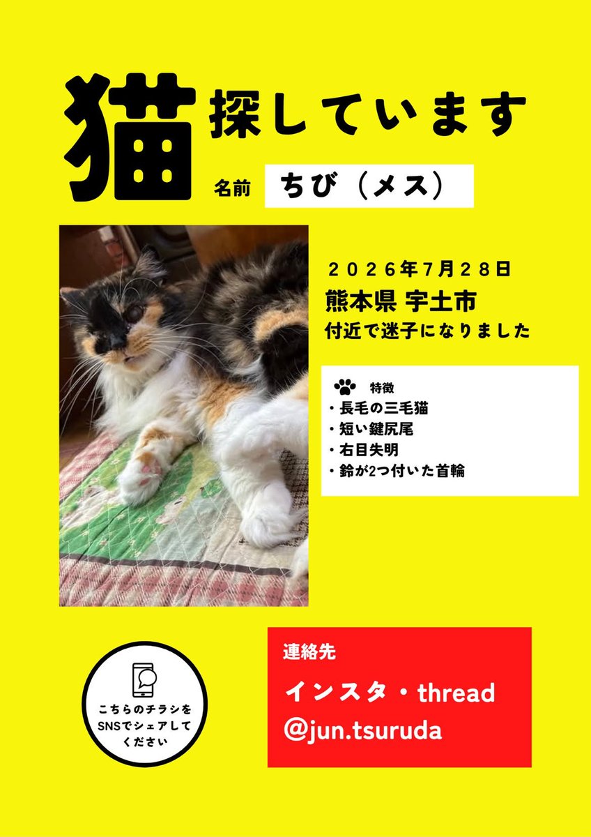 nunununoon620's tweet photo. インスタで作っていただきました！！
本当にありがたいです！！
今朝お隣さんから目撃情報あったので近くにいることは間違いないんですがっ！
１２歳なので熱中症が本当に心配です💦 https://t.co/15TNUe3tuD