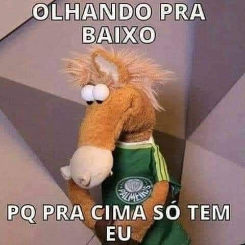 palweiraz's tweet photo. bom dia amigos palmeirenses https://t.co/ORoke2w3xx
