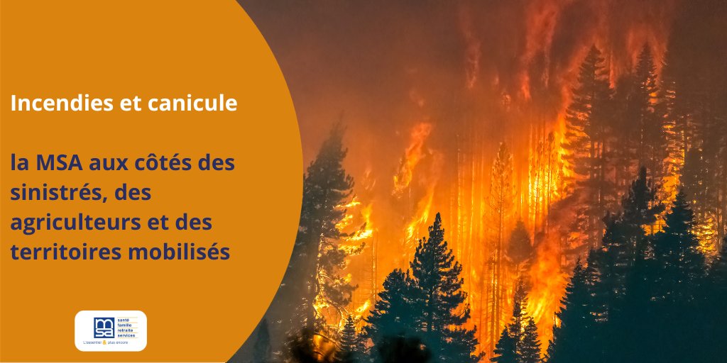 msa_actu's tweet photo. 🌾 Face aux incendies et à la canicule, la MSA est aux côtés des exploitants, des salariés agricoles, de leurs familles et de tous les sinistrés.
Parce que ces événements ont des conséquences humaines, sociales et économiques, la MSA se mobilise pour informer, prévenir et accompagner les personnes touchées.
Retrouvez les dispositifs de soutien, les conseils et les ressources utiles 👉 https://t.co/EAMy3rj8O0
#Solidarité #Agriculture #Canicule #Incendies #MSA