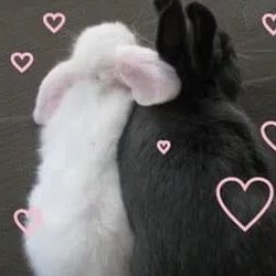 3bubblestall's tweet photo. happy international friendship day to mai riribunni @bunnichael  !!!! im so happi 2 hav  met you  angel 🍓🫧 you’re actually the sweetest person in the world nd  yu kno mai brain  top to bottom  , i love the way you love me♡. I love how Easy it is  to talk to you most . 1/2 https://t.co/5s32FERPrZ