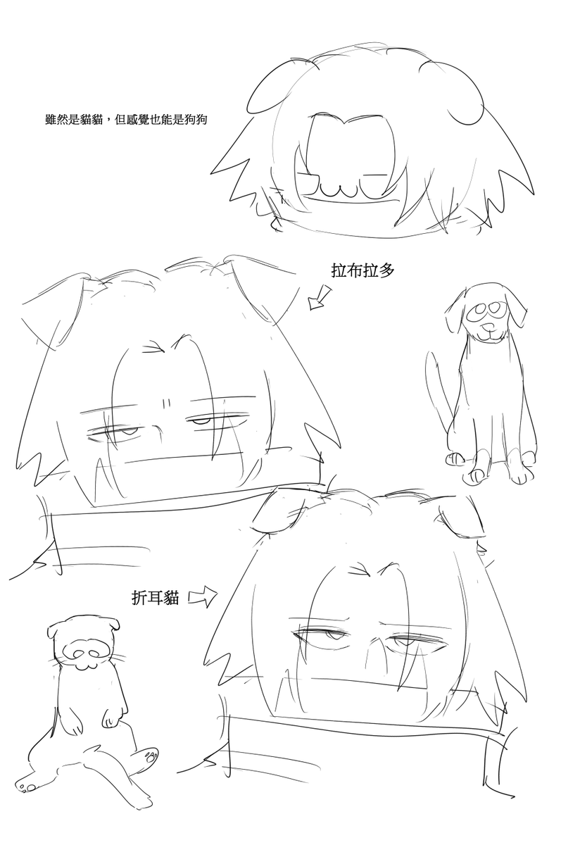 DogeDO_52's tweet photo. https://t.co/wGGEWUrO6o
