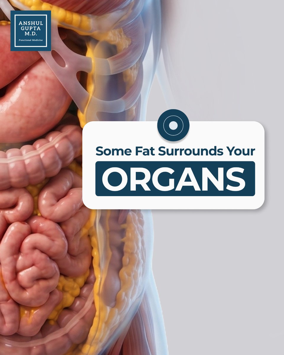 anshulguptamd's tweet photo. The most dangerous fat isn't always the one you can see.

Visceral fat surrounds your organs and can affect your long-term metabolic health.

The good news? Small daily habits can make a real difference.

Did you know there are different types of belly fat? https://t.co/7w0o8mAYwY