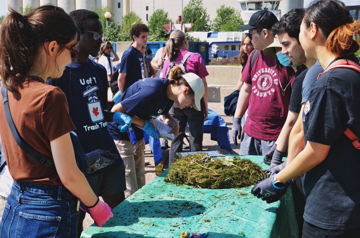 UofTTrashTeam's tweet photo. 🌊Thanks to everyone who joined our Trash Trap Dive! Together, we removed 5 kg of anthropogenic debris and sorted and categorized 581 pieces of #PlasticPollution, including a lot of plastic bottle caps, food wrappers, and foam pieces. Well done everyone!! 🦝 #FightingFloatablesTO https://t.co/K4mfpgiTnM