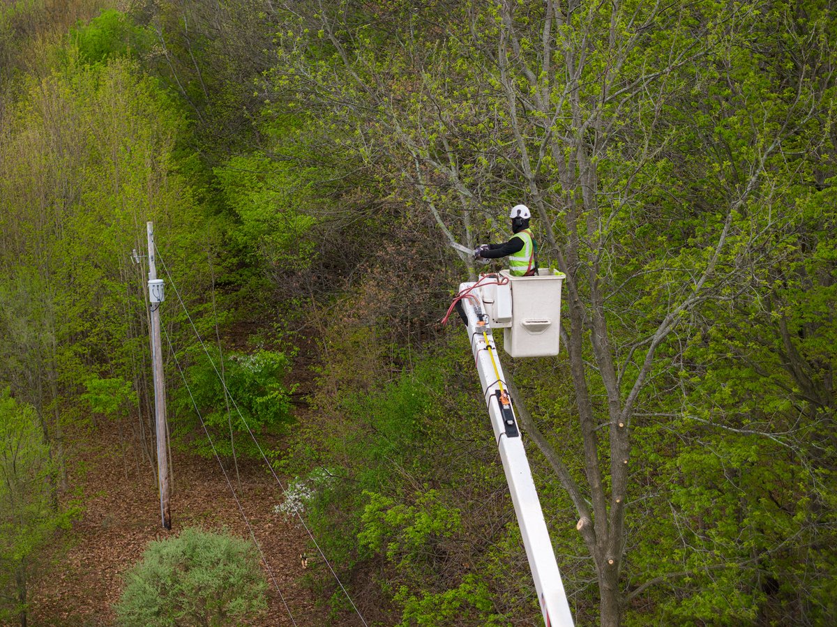 ConsumersEnergy's tweet photo. In 2026, we’re trimming 9,000+ miles of power lines to help reduce outages. 🌳⚡
​
Proactive line clearing helps keep the lights on — even when storms hit. You can count on us to secure the grid. https://t.co/lUJ6RQCmym