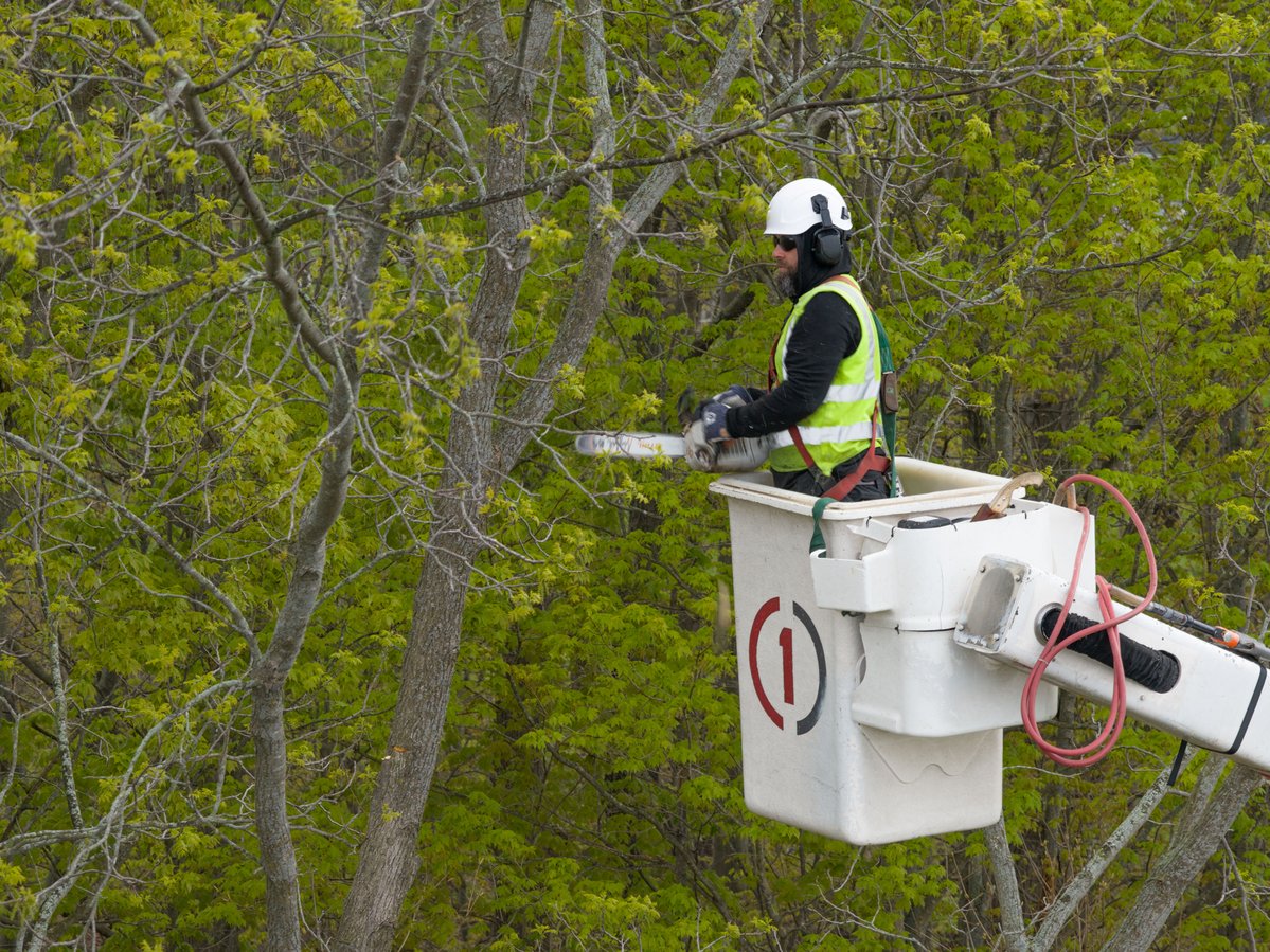 ConsumersEnergy's tweet photo. In 2026, we’re trimming 9,000+ miles of power lines to help reduce outages. 🌳⚡
​
Proactive line clearing helps keep the lights on — even when storms hit. You can count on us to secure the grid. https://t.co/lUJ6RQCmym