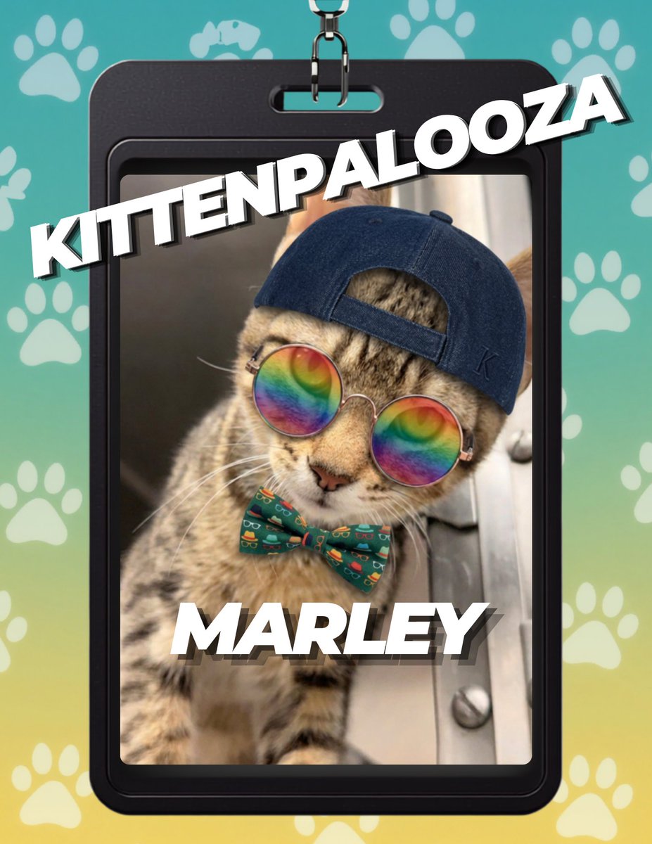 AntiCruelty's tweet photo. 🎫 Your VIP pass to the cutest event of the summer is here!

Kittenpalooza is taking over the Michigan Avenue Atrium on Saturday, August 1 from 12-4PM! 🐾 

✨ Meet adorable, adoptable kittens.
📷 Snap the cutest photos.
💕 Find your purrfect match. https://t.co/gKQdlfI2EQ