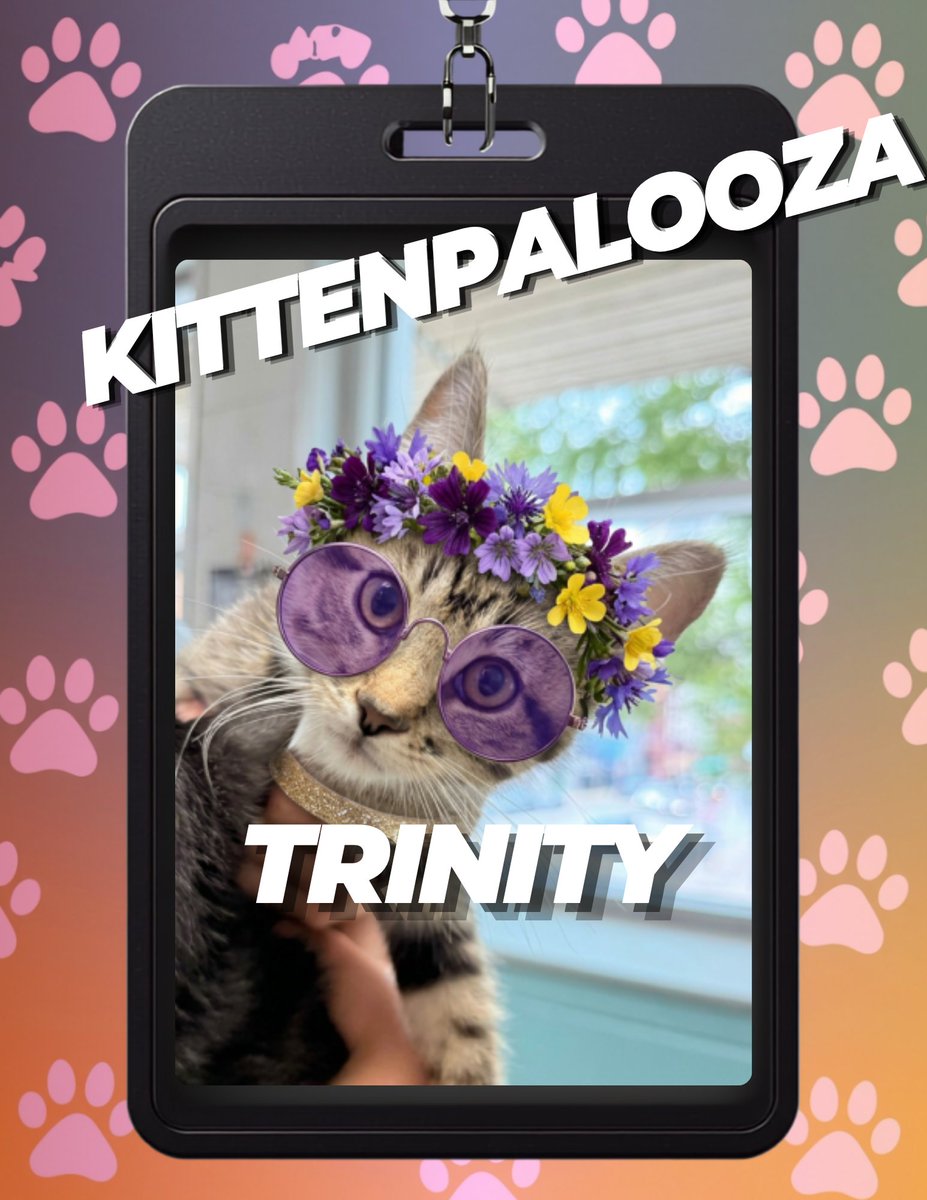 AntiCruelty's tweet photo. 🎫 Your VIP pass to the cutest event of the summer is here!

Kittenpalooza is taking over the Michigan Avenue Atrium on Saturday, August 1 from 12-4PM! 🐾 

✨ Meet adorable, adoptable kittens.
📷 Snap the cutest photos.
💕 Find your purrfect match. https://t.co/gKQdlfI2EQ