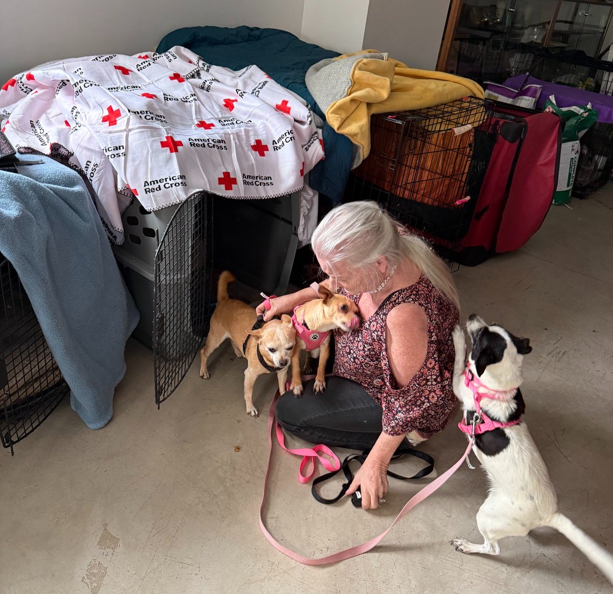 RedCross's tweet photo. If you only had minutes to evacuate your home, what's the first thing you'd think to grab? For Merry and Joe Pendergrass, it was their five dogs and three cats.

When the Aspen Acres Fire threatened their Colorado community, knowing there was a safe place for their pets made it easier to leave. 

"When the sheriff knocked on our door," Joe said, "he told us there was a shelter for the people at Pathfinder, and there was also a shelter for all the animals."

That reassurance made all the difference. Many people hesitate to follow evacuation orders because they don't know where they can go with their pets. Thankfully, the @COWYRedCross partnered with a local animal shelter to support a co-located pet shelter, helping families stay close to their pets while knowing they were safe and cared for.

Merry and Joe were able to visit their pets, walk the dogs, and spend time with all eight animals while they waited for updates on the fire.

"I can definitely vouch for the animal shelter," Joe said. "If people are wondering what it's like, I can tell them they're doing a terrific job."

Merry and Joe's story is an important reminder for pet owners everywhere: Make a plan for your pets before disaster strikes. Include them in your family's emergency plan, prepare a pet emergency kit, and know where you'll go if you need to evacuate.