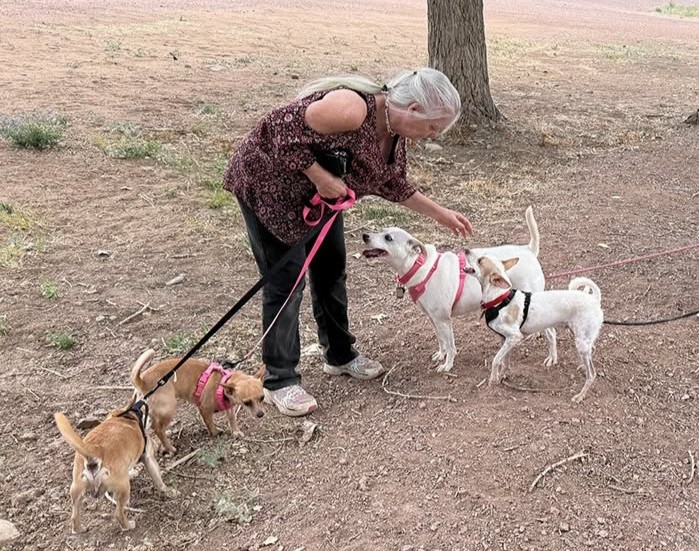 RedCross's tweet photo. If you only had minutes to evacuate your home, what's the first thing you'd think to grab? For Merry and Joe Pendergrass, it was their five dogs and three cats.

When the Aspen Acres Fire threatened their Colorado community, knowing there was a safe place for their pets made it easier to leave. 

"When the sheriff knocked on our door," Joe said, "he told us there was a shelter for the people at Pathfinder, and there was also a shelter for all the animals."

That reassurance made all the difference. Many people hesitate to follow evacuation orders because they don't know where they can go with their pets. Thankfully, the @COWYRedCross partnered with a local animal shelter to support a co-located pet shelter, helping families stay close to their pets while knowing they were safe and cared for.

Merry and Joe were able to visit their pets, walk the dogs, and spend time with all eight animals while they waited for updates on the fire.

"I can definitely vouch for the animal shelter," Joe said. "If people are wondering what it's like, I can tell them they're doing a terrific job."

Merry and Joe's story is an important reminder for pet owners everywhere: Make a plan for your pets before disaster strikes. Include them in your family's emergency plan, prepare a pet emergency kit, and know where you'll go if you need to evacuate.