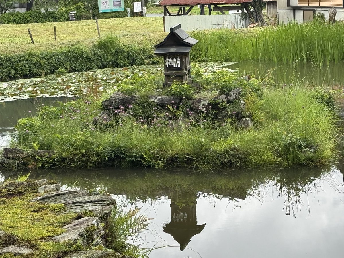 Azu71534362's tweet photo. 丹生都比売神社
綺麗な清流が流れていて、心が洗われるようなきもちになる

#丹生都比売神社
#和歌山県伊都郡
#神社
#聖域 https://t.co/Bq0jJqL1iI