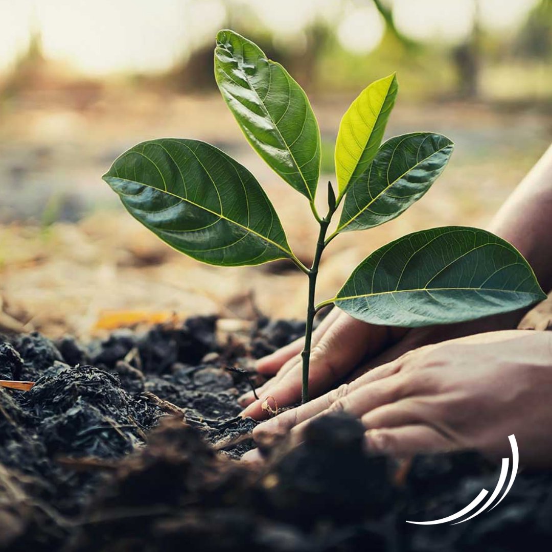 LegacyBankAR's tweet photo. Small steps today can make a big difference tomorrow. Whether you're saving for a vacation, a home, your child's education, or unexpected expenses, consistency is key. What's one financial goal you're working toward this year? Member FDIC. Equal Housing Lender. https://t.co/qQQ7UOzGSM