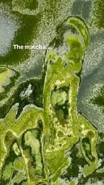 veric_mark's tweet photo. Do you want macha?
Visit na sa @Radiance_banawe 
Makatikim ka mailing ng dambuhalang matcha 
@altercation1995 
@simplyme101486 https://t.co/a7E1Ythp1K