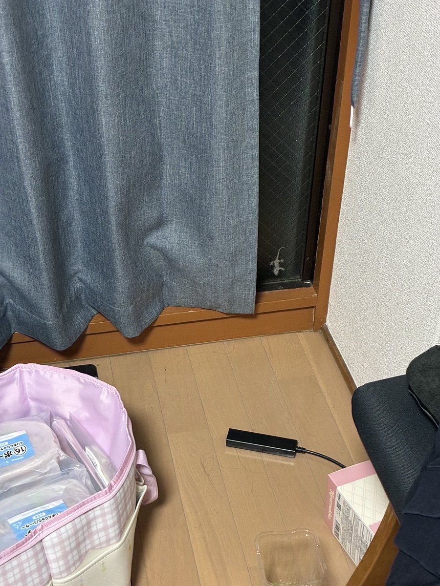 maaa711sg's tweet photo. 今日もヤモリさんがいらっしゃいました https://t.co/3HGQU3XE8M