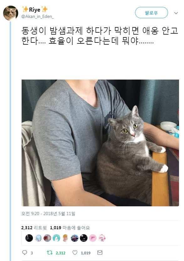 lovx11_very's tweet photo. https://t.co/IiGRtfkL8Y