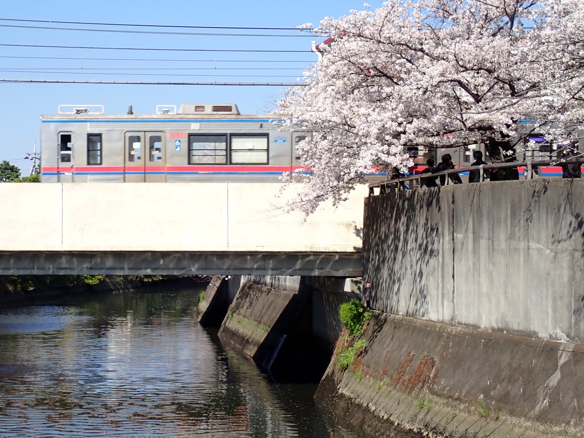 p2NATLGbZZ81036's tweet photo. #自分が気に入ってる京成の写真を晒せ https://t.co/XXjwkXEX3D