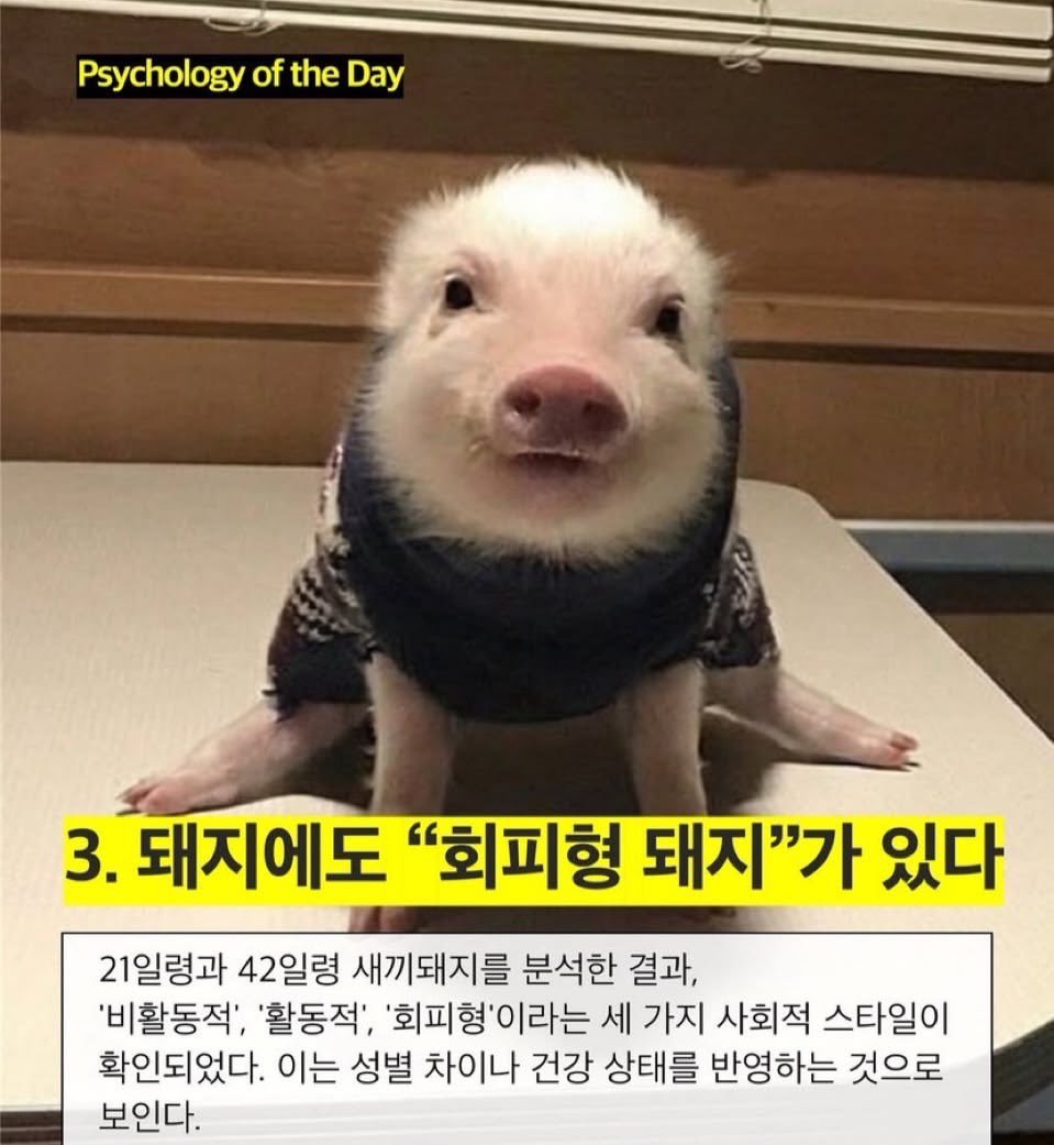 lovx11_very's tweet photo. https://t.co/6M5iLut5Qm