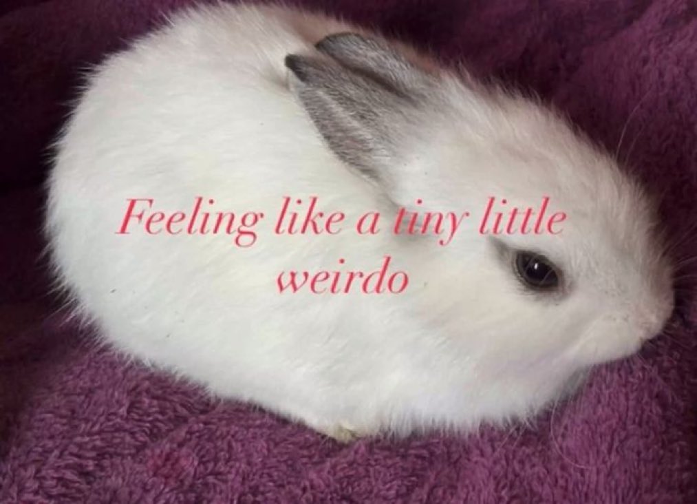 cmzyXD's tweet photo. sometimes i wait for people to give me attention like a dog https://t.co/SoJNicUUrk