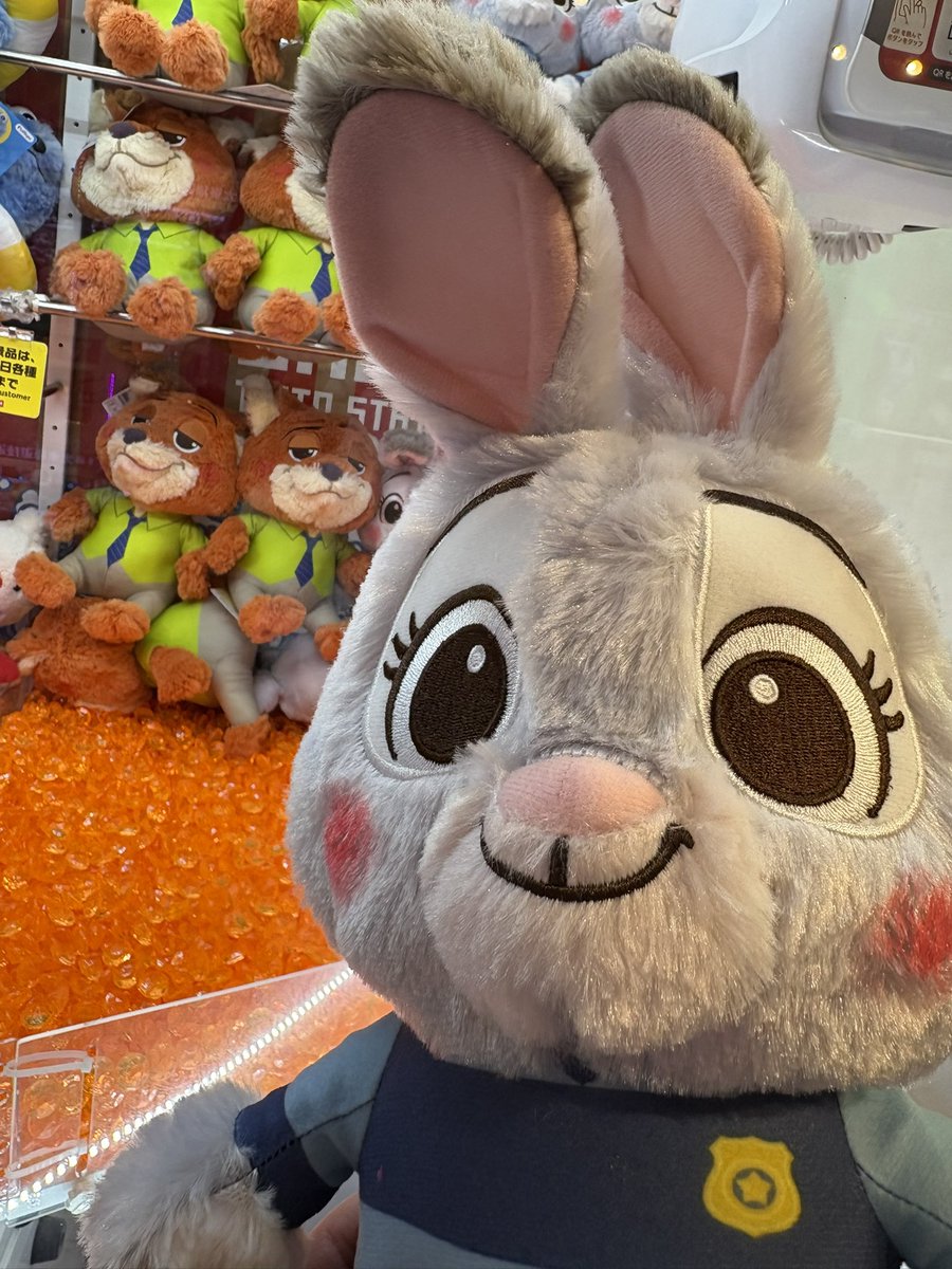 apricot_fc's tweet photo. ジュディもゲット(* ॑꒳ ॑🫶🏻)💓 https://t.co/Q6h28yZ9ul
