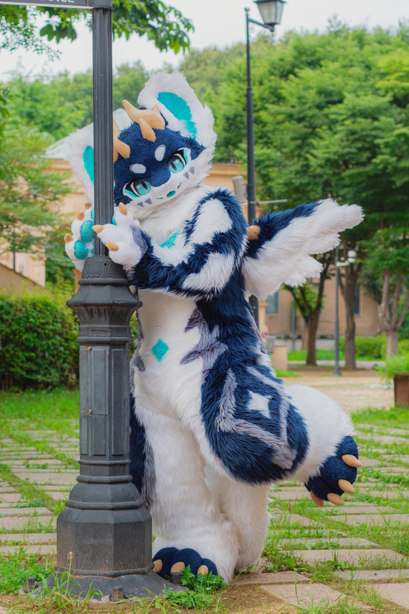 Ruta_fur's tweet photo. 귀여운 포즈? 음… 이걸로 어때??
#FursuitFriday

📸:@hachi_sadam https://t.co/RZr3okgiWa