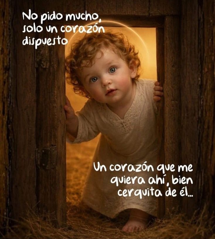 Piporracatorce's tweet photo. ⚜️🤍⚜️🤍 TERNURA DEL DÍA 🤍⚜️🤍⚜️ https://t.co/Lf1kkgmFEl