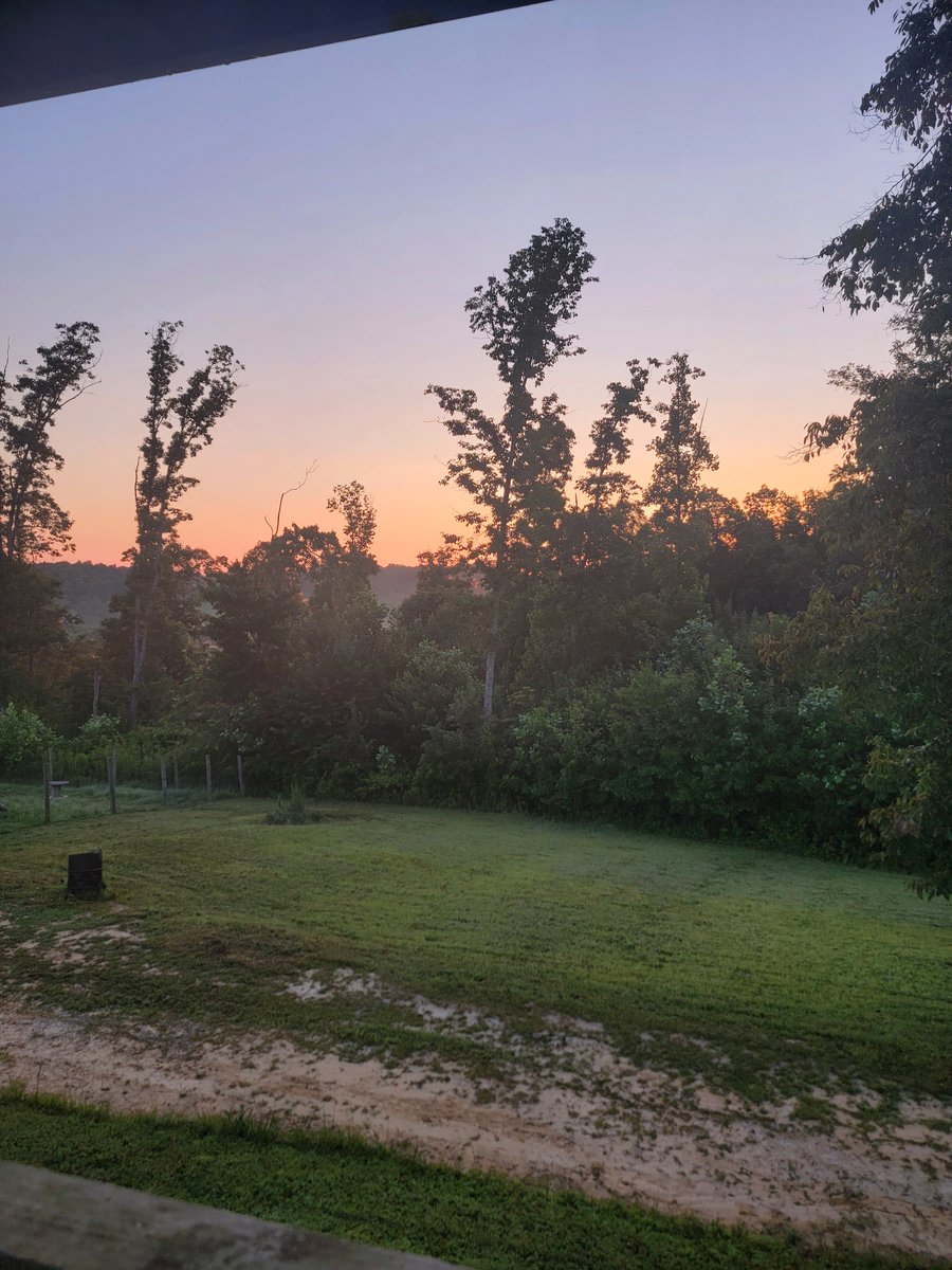 CraigFlath17407's tweet photo. @Riflemanscreed2 G'mornin from Tennessee https://t.co/nIGJtL3B5S