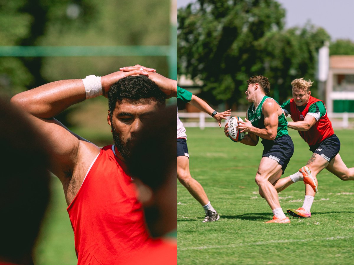 BenettonRugby's tweet photo. Back to the grind 💥

#benettonrugby #WeAreLions https://t.co/MmdUxDii7D
