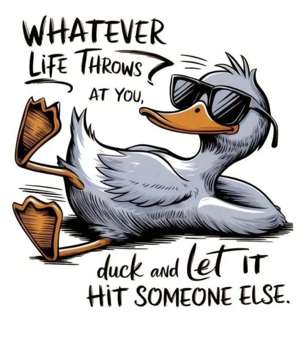 bird_tom73706's tweet photo. A sarcasti funny ones lol 🫣🙄😬😳🤣😂 https://t.co/CK0ovV8slr