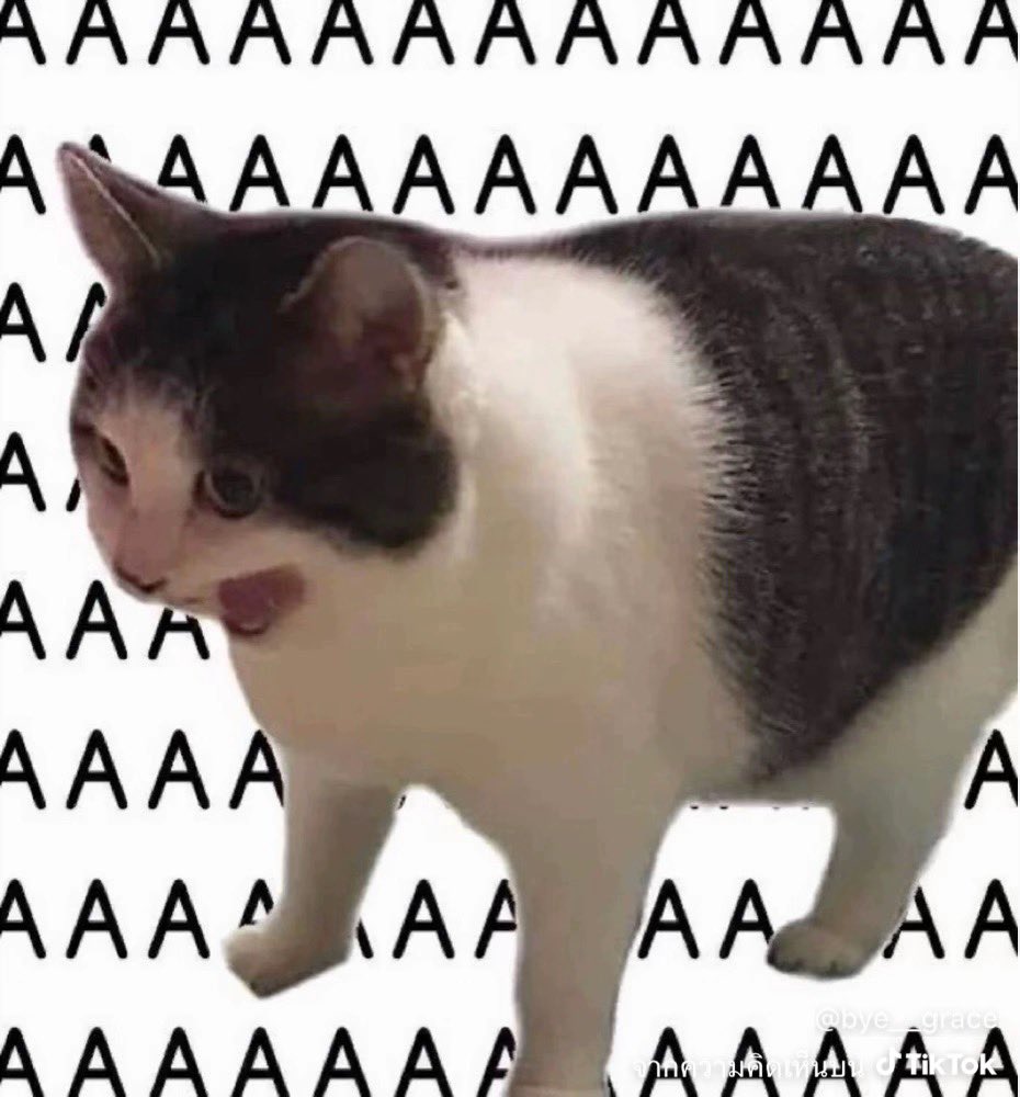 BusttyBell_00's tweet photo. จามีคาเฟ่แล้วว
#CattrovertSB #3901room 🏠🐈🐈⬛ https://t.co/KpA6NOq915