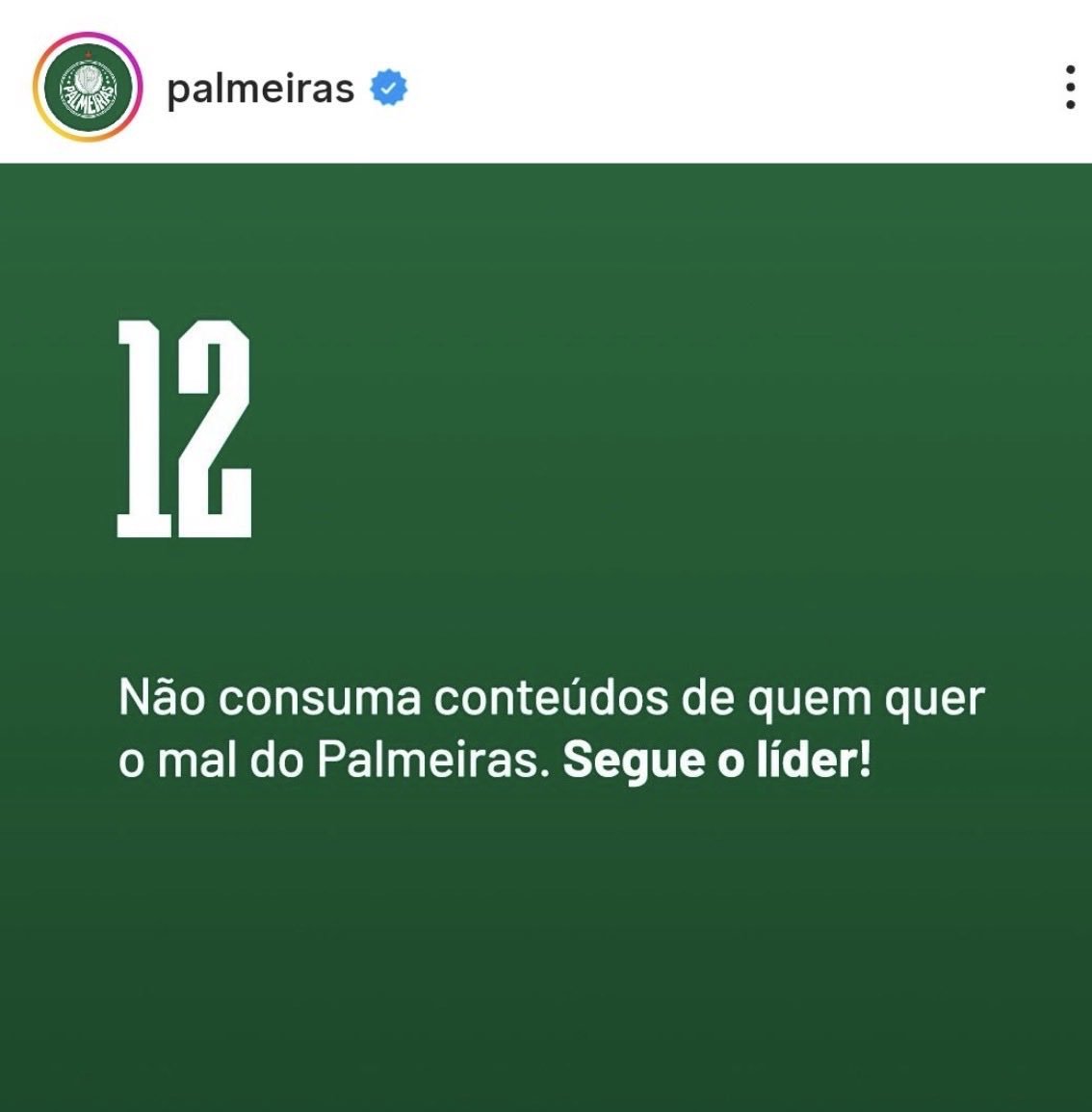 parmeramilgrau's tweet photo. Indiscutível o quanto a comunicação do Palmeiras acertou nisso aqui esse ano! https://t.co/RnOAIAMChG