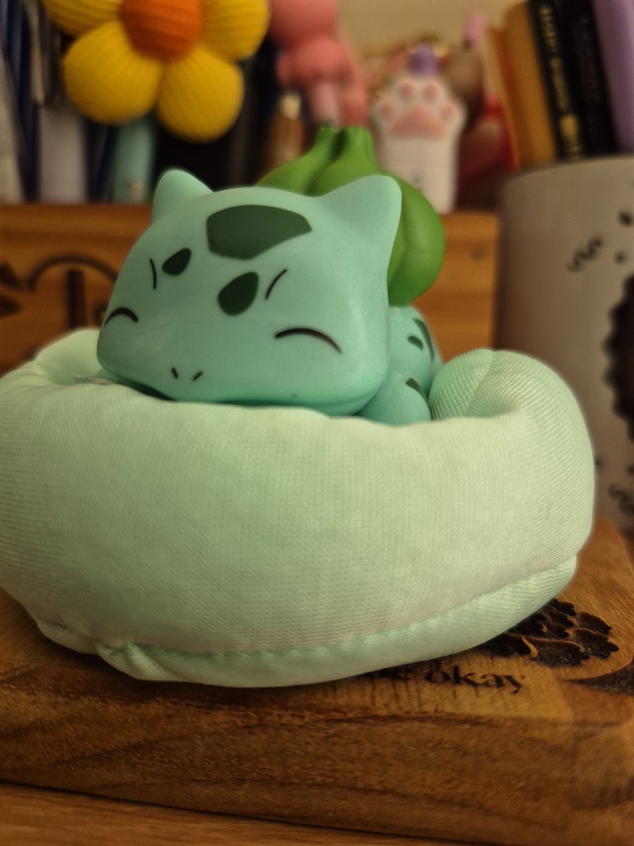 marcelamcookie1's tweet photo. @bts_ft_mcr chegou meu bulba tbm eu amo ele https://t.co/pyMt38bFFL