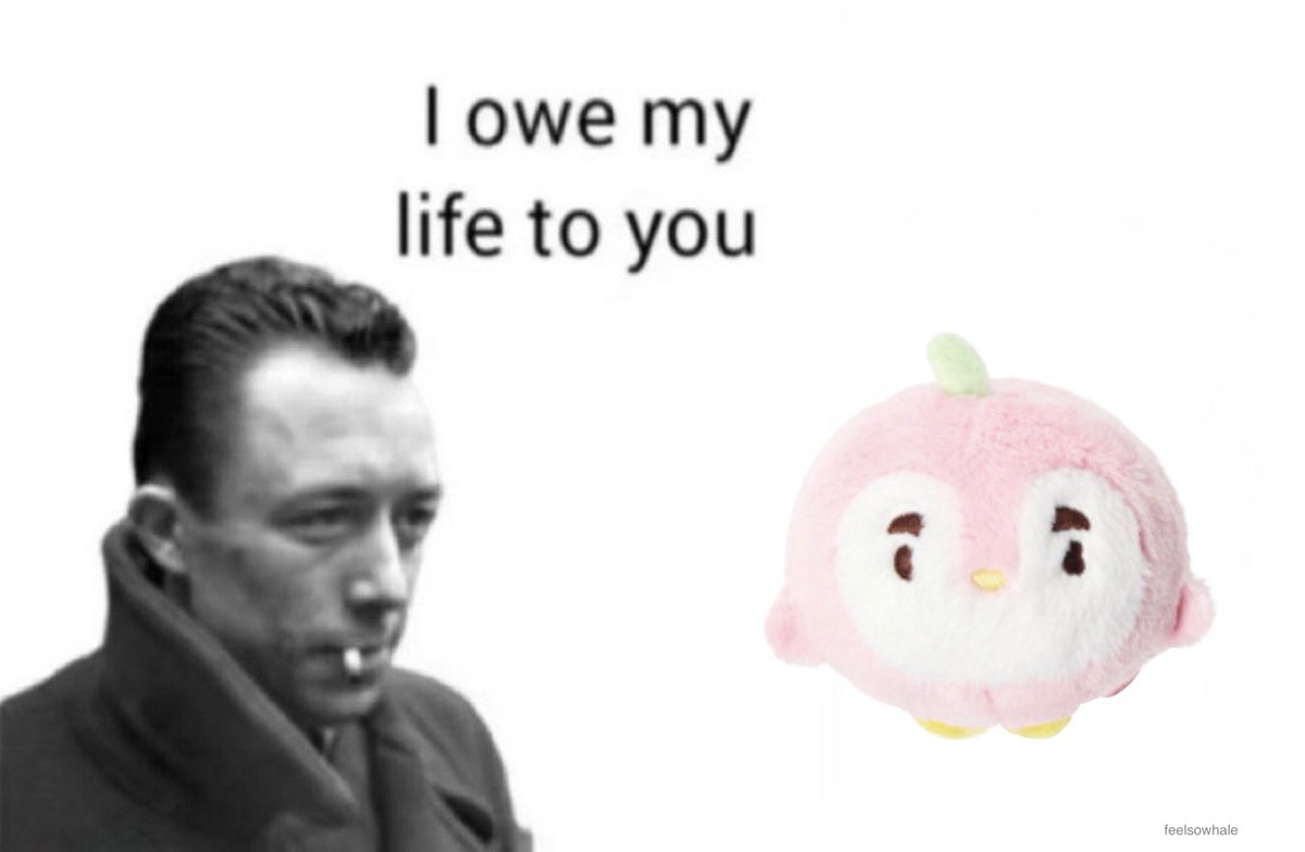 feelsowhale's tweet photo. my love for pinguinni basically https://t.co/riM1hRGdYB