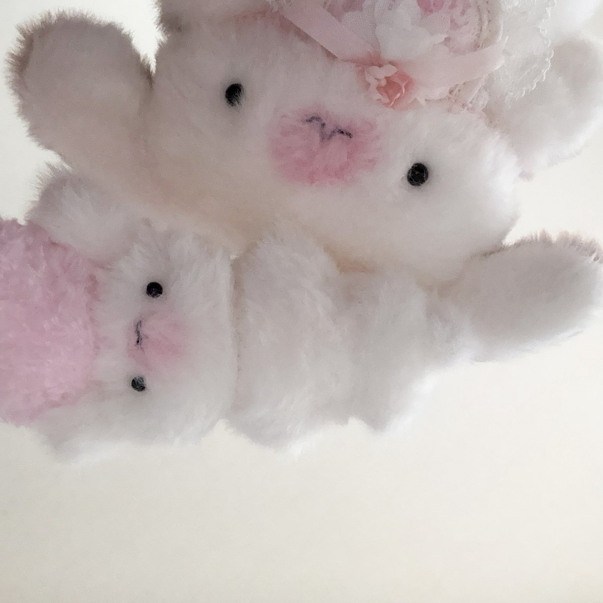 nyanmofucity's tweet photo. ピンクの哺乳瓶のカケラちゃんがお家に仲間入りしたので先住ちゃんたちとおかしパーティー( ɞ̴̶̷  ̫ ɞ̴̶̷ ) ᯤ♡　目離した間にはしっことカケラちゃんで自撮りしてたｶﾜｲｲッッッ🍦🎀 https://t.co/4waNtPf0DO