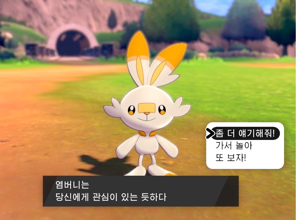 pokehunt_er's tweet photo. 소드실드 캠핑할때 제일재밌는거
포켓몬들이랑 진실게임 할 수 있음 https://t.co/DJQ3Ol2k3a