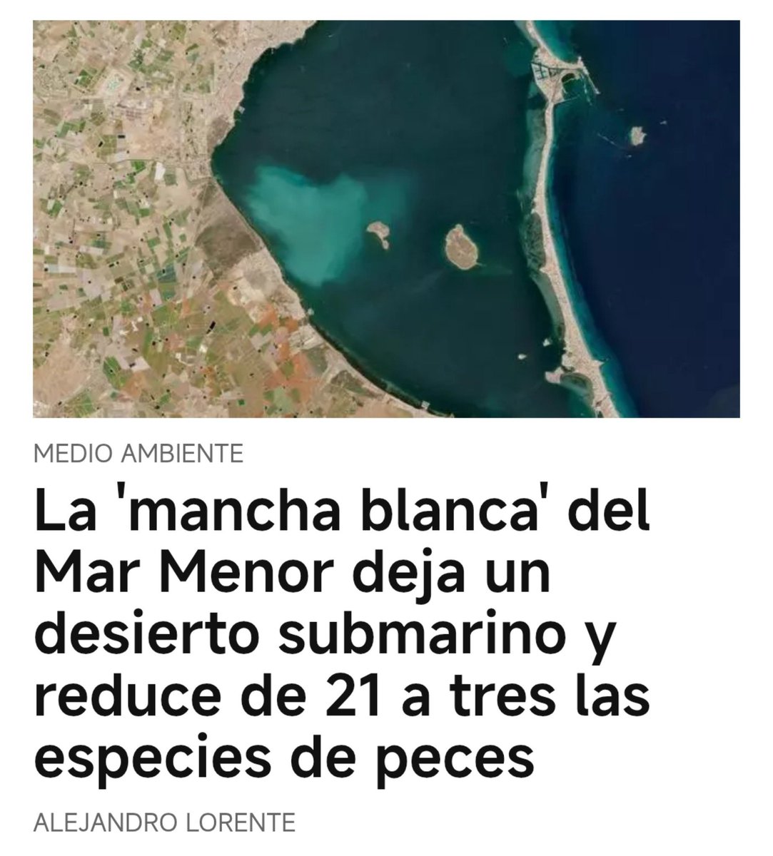 antonioh2003's tweet photo. La 'mancha blanca' del Mar Menor deja un desierto submarino y reduce de 21 a tres las especies de peces  https://t.co/G4WCFARDx5  @diariolaopinion https://t.co/RRlyCnQ2Yo