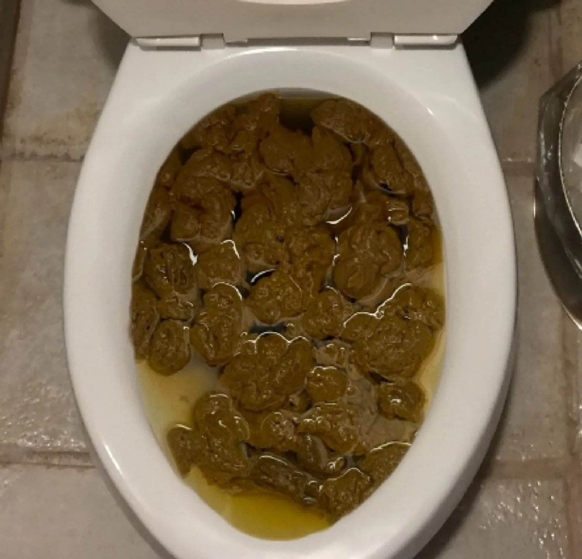 Natalie_poopst's tweet photo. This isn't flushing ๐ญ๐ญ please tell me something what to do๐
#scat #poop #shit #fetish #thisvid https://t.co/136jcFnBra
