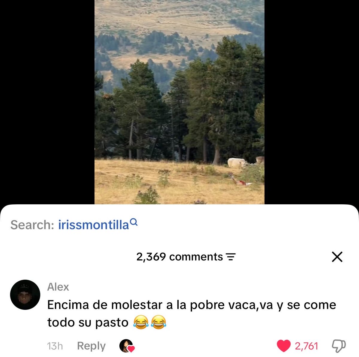elojoquetodolv's tweet photo. Llevo media hora riéndome SOCORRO. https://t.co/tKK7IPhr0c