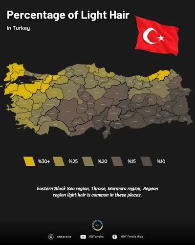 stats_planet's tweet photo. @Globalstats11 Percentage of Light Hair in Turkey https://t.co/vpdSFiDA9Y