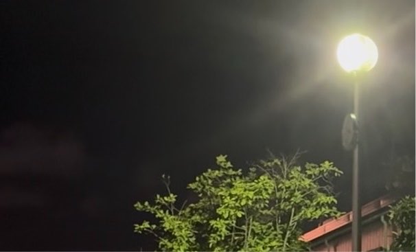 freebear_video's tweet photo. 明日、新作を公開いたします…！ https://t.co/mQGfR9m3uv