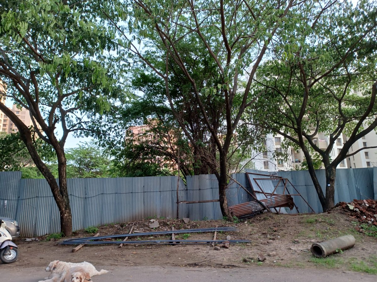 Chat_Pune's tweet photo. @navalMH @navalMH They had earlier, destroyed these lovely tall 10-12 year old rain trees right at the beginning of the project. Pointing this out to Tree Authority did not result in anything either. https://t.co/B0NAxWVdc5