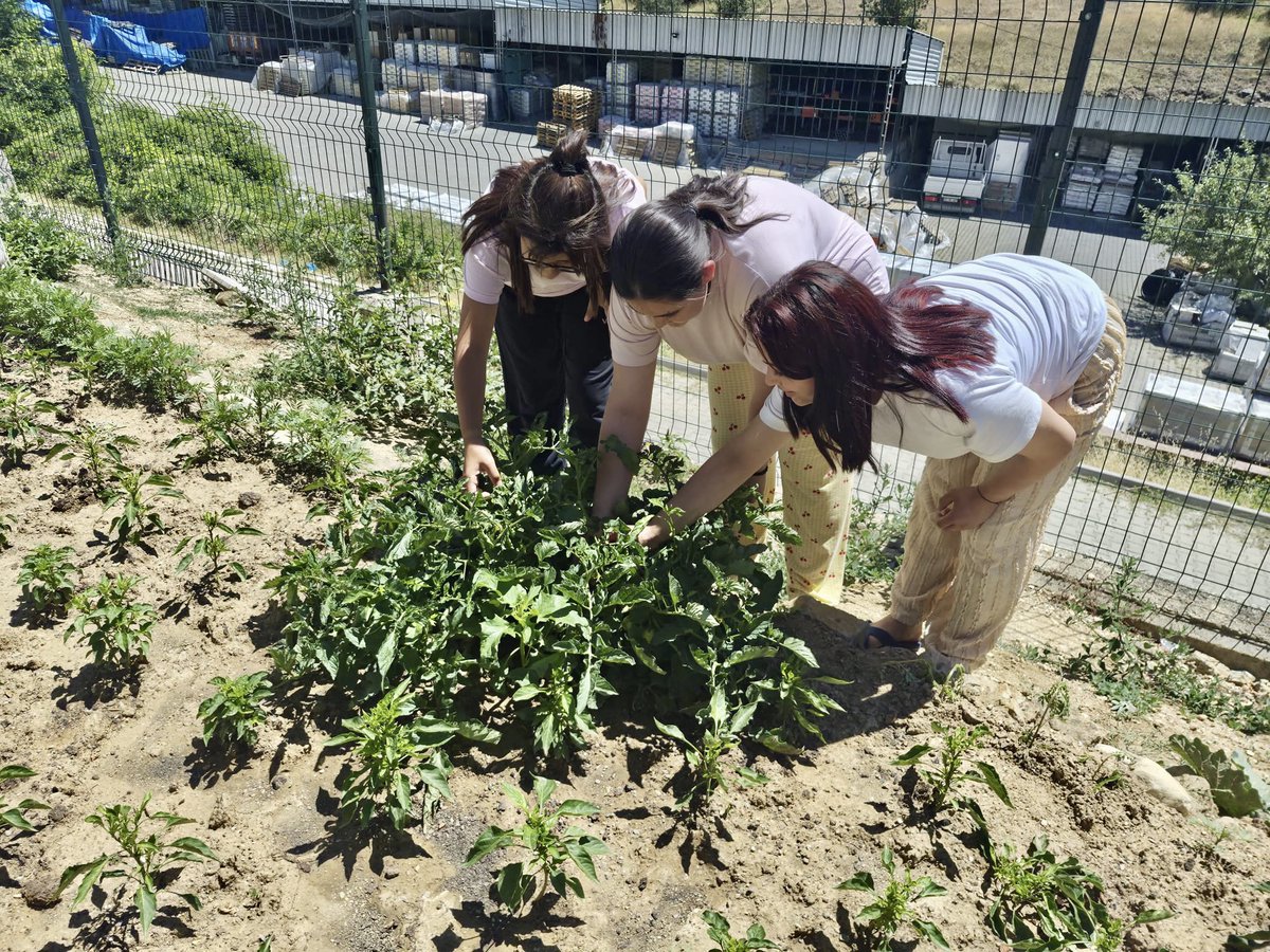 Kastamonuash's tweet photo. 🌱 Çocuklarımızın Emeği Toprakta, Mutluluğu Yüzlerinde Filizlendi

Çocuklarımızın emekle büyüttüğü serada bereketin ve mutluluğun en güzel hali yaşanıyor.

https://t.co/ijrwuSFHeD https://t.co/3lxqt06yqV