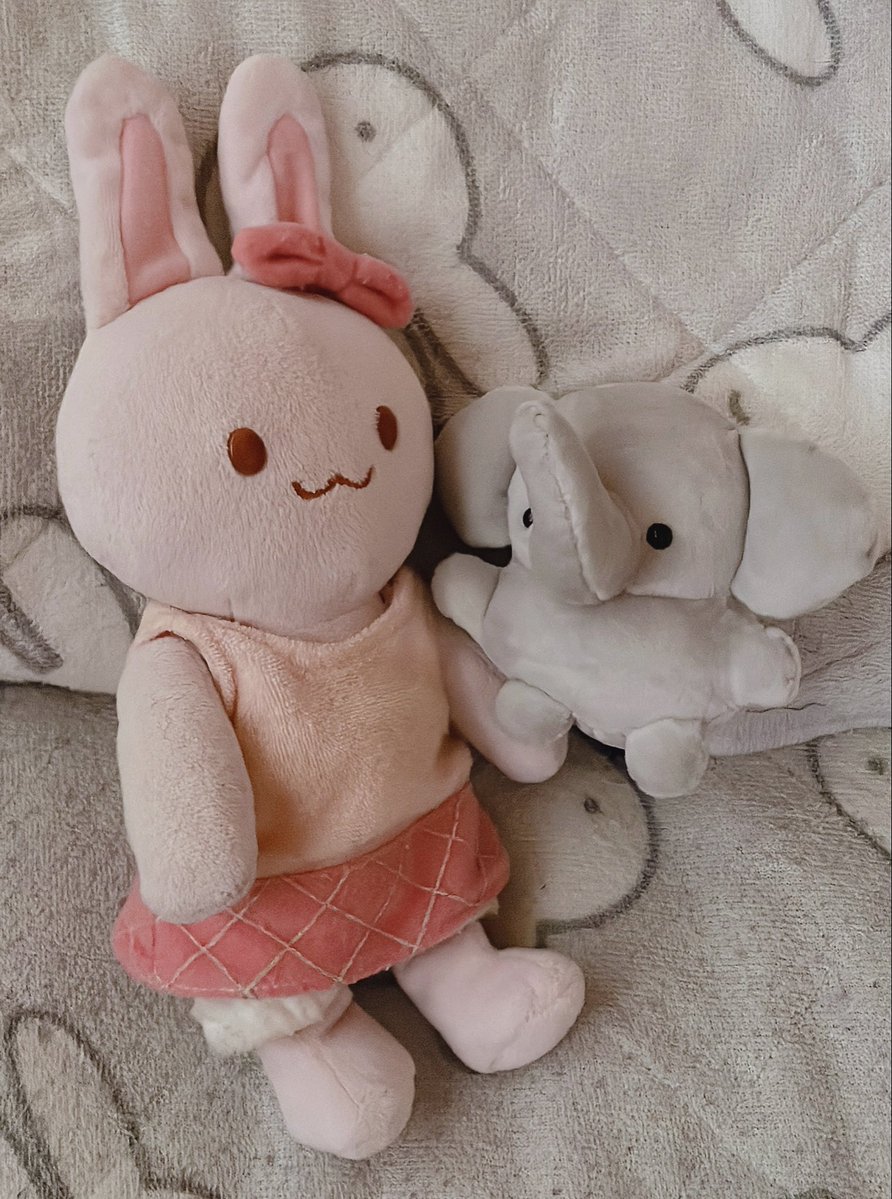 ZizeruTukuyomi's tweet photo. @MokomokoMommy 様のぞうさんをお迎えしました🐘✨
本当に本当に愛らしい
これからたくさんの思い出を作っていきたいな

早速我が家のうさももちゃんにご挨拶
すぐに打ち解けて仲良しになったぞうさん https://t.co/UftDEkuvBK