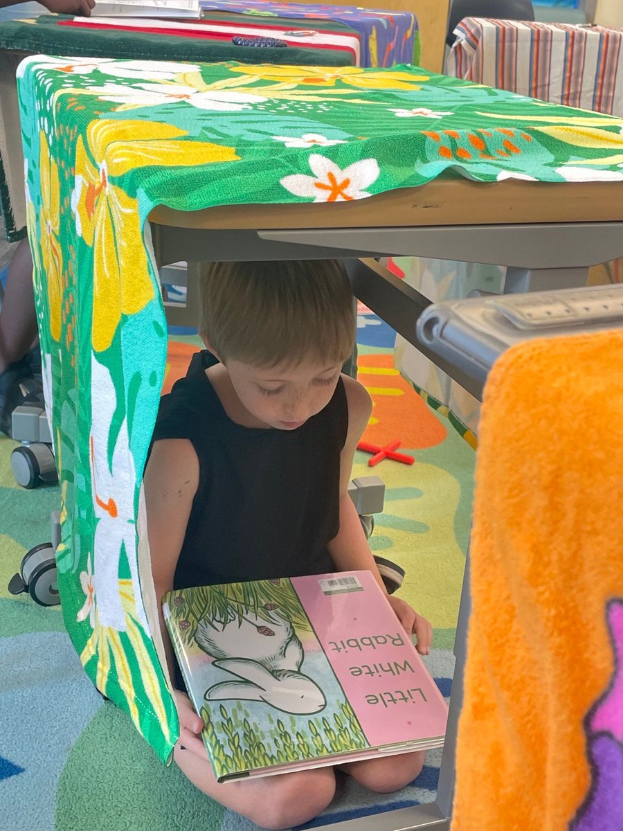WMPublicSchools's tweet photo. 🏰Building Forts & Cozying Up with Books!
😊Check out our Royal summer school readers taking a cozy break inside their forts! 📚
#WMES #WMSummerSchool #WMRoyalPride https://t.co/nxMoLhOBWy