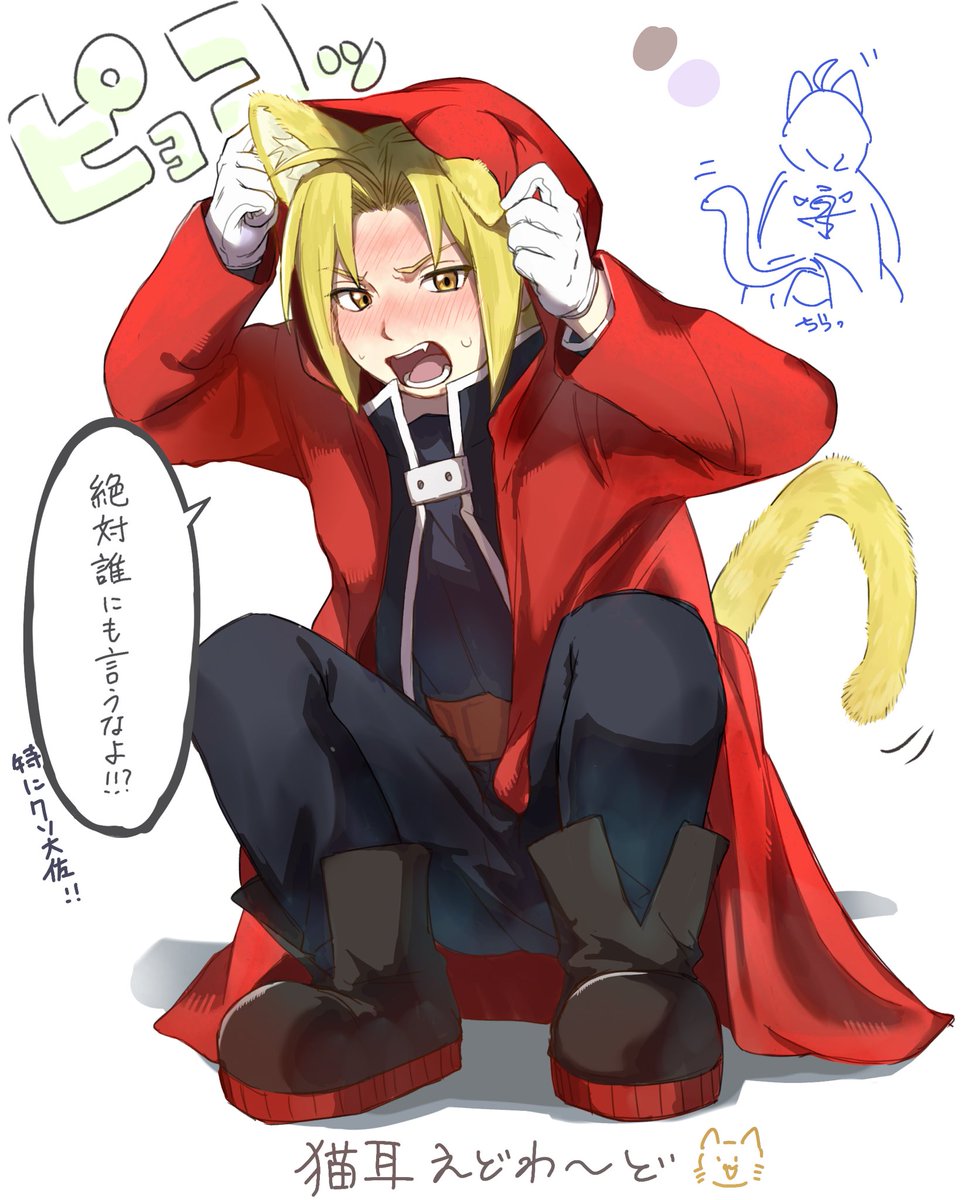TadanoGirldayo's tweet photo. ねこみみ https://t.co/7fFNlpbPYy