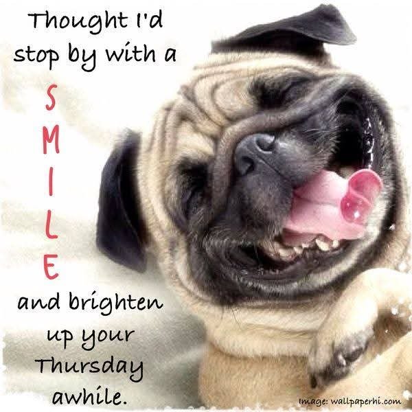 SaraFoxHart's tweet photo. Happy Thursday to you! Make it a great day! https://t.co/0Xciz5bDvR