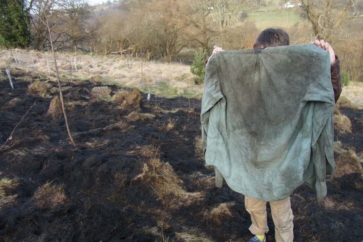 blackgull's tweet photo. Defra's 'Capital Grants 2026 now open'
https://t.co/EIwevWByum

don't lose your shirt, 'create a wildfire checklist' (WF1) and more, much more....
[hurry, before prof 'grant harvesters' clean up] https://t.co/IgsElh36j5