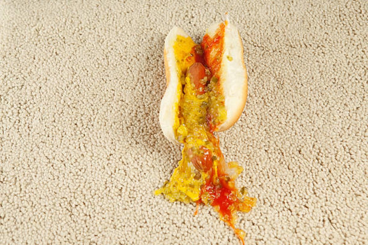 carpetdryclean's tweet photo. It’s National Chili Dog Day! The last Thursday in July is your annual chance to proclaim your affection for this truly American delicacy and if you find yourself in a messy situation, give us a call and we’ll help clean up the mess! https://t.co/RFdl1GyU8s