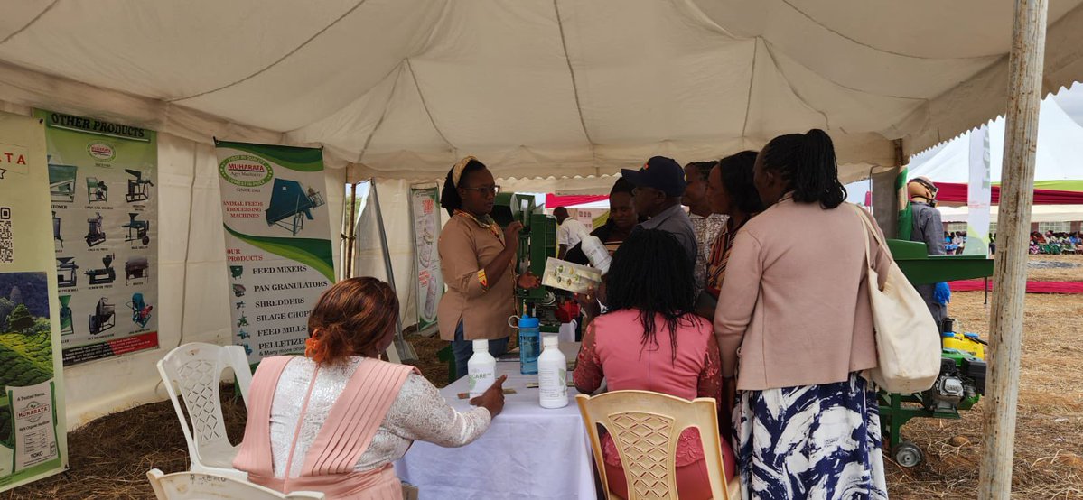 EAGrainCouncil's tweet photo. Across the exhibition grounds of the #EAGCAgribusinessExpo2026, providers of Food Loss Reduction Solutions #FLRS are demonstrating #technologies designed to protect grain after harvest and reduce food losses. From hermetic storage bags, tarpaulins, silos, threshers and shellers to other post-harvest innovations, exhibitors are showcasing solutions that help preserve grain quality and increase returns for farmers.
Supported through the AGRA-funded RE-GAIN Programme, selected technologies are available at subsidized prices, giving farmers, agrodealers and Village-Based Advisors an opportunity to engage directly with suppliers, receive technical guidance and identify solutions that best suit their needs.
The Expo is turning innovation into action by bringing technology providers and farmers together on one platform to promote better post-harvest management and stronger food systems.@PCPB_Kenya @grainproinc @SiloAfrica
#EAGCAgribusinessExpo2026 #REGAIN #FoodLossReduction #PostHarvestManagement #ClimateSmartAgriculture #EAGC