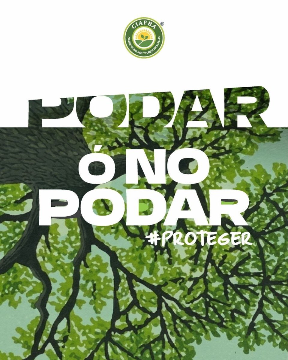 CiafbaN's tweet photo. 🌳El #árbol también necesita #protección

Cuando se poda inadecuadamente, la corteza se daña y queda más vulnerable al ataque de hongos, bacterias e insectos.
Antes de #intervenir un árbol, buscá #asesoramiento de un profesional #matriculado
Encontralo en https://t.co/WcgV0zKbzC https://t.co/kUSGZWXKNo