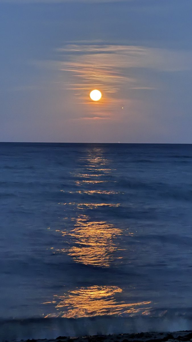 almarior74's tweet photo. Luna llena en acuario ✨🌝 🐠 💫 https://t.co/w65HHjKqus
