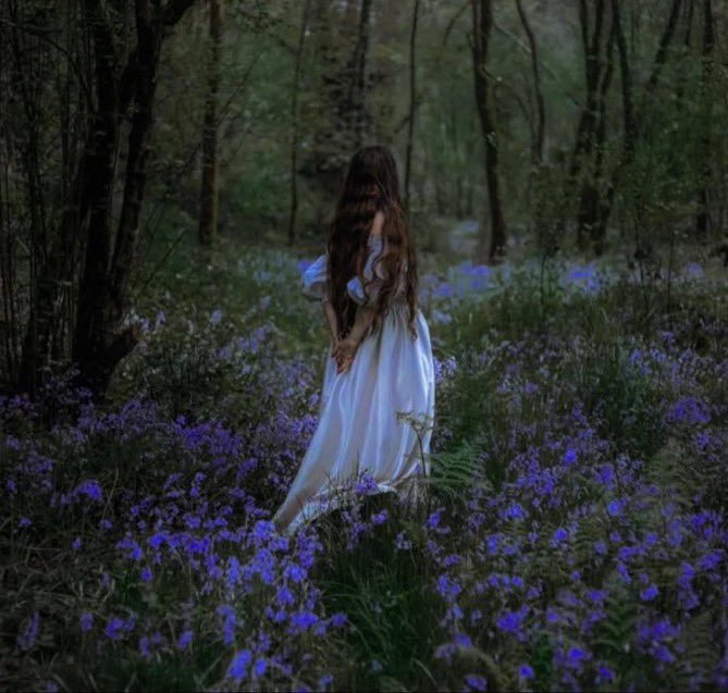 _Naturaee's tweet photo. lavender haze https://t.co/BLekS4LR34